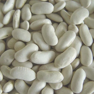 White pea beans navy white kidney beans small bean for sale