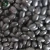 Import White / Red / Pinto / Black/ Green Pulses and Beans Exporters from China