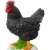 Import whole sales resin  animals black chicken sculpture resin sculpture from China