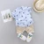 Import Wholesale Baby Boy Cute Fashion Crown Clothing Set Summer 2pcs Shirt Clothing Set from China