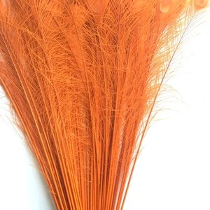 Wholesale cheap beautiful dyed artificial peacock feathers for sale