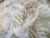 Import wholesale cheap wool fiber for carpet raw sheep wool from China