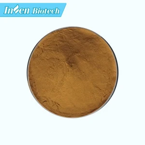Wholesale Herbal Supplement Natural Plant Extracts