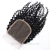 Import wholesale human hair kinky curly hair overnight shipping bundles and closure from China