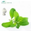 Wholesale Organic 100% Natural Sweetner Plant Stevioside Stevia Leaf Extract Powder
