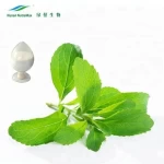 Wholesale Organic 100% Natural Sweetner Plant Stevioside Stevia Leaf Extract Powder