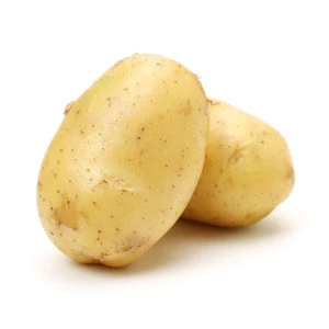Wholesale Perfect Pact Fresh Yellow Potatoes sourced from family farms in the USA