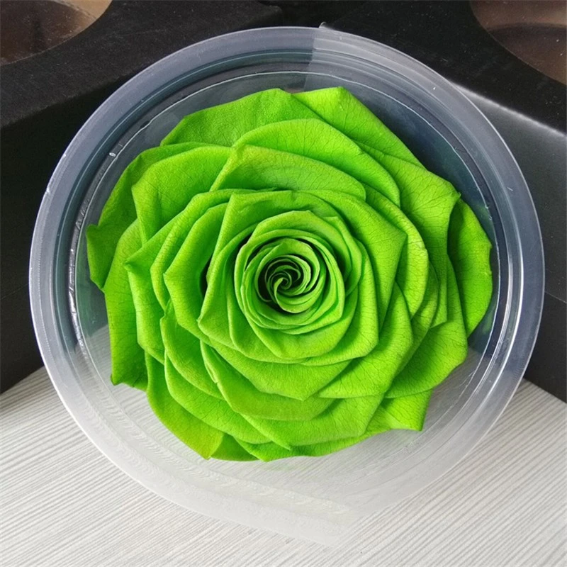 Wholesale preserved roses 10cm flowers heads