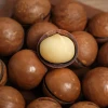 Wholesale Rich Nutrition Delicious Roasted 5A 3A 2A Quality Dried Macadamia Nuts for Sale
