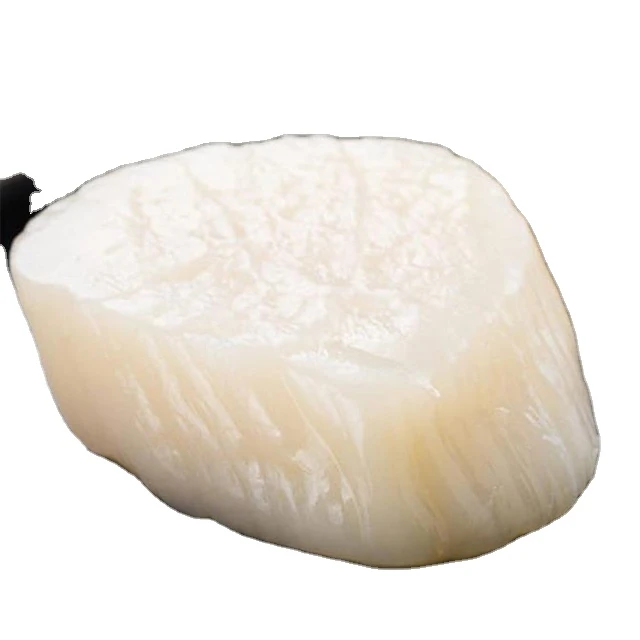 Wholesale seafood  Delicious Frozen seafood Scallops meat