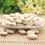 Wholesale white kidney beans, dried white kidney beans helaixiang new products
