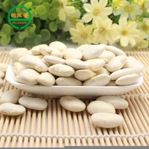 Wholesale white kidney beans, dried white kidney beans helaixiang new products