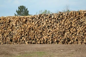 wood raw materials