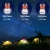 Import YARRAE 2018 Bug Zapper 2 In 1 Night LED Light Bulb Lamp & Mosquito Zapper Repellent from China