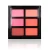 Import Your own logo blush palette 6 colors charming look with window makeup palette from China