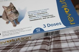 Zoetis Revolution Rx for Cats 8 week