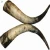 Import Cow Horns , Paired Raw Cow Horn from USA