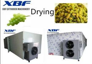 Hot Air Energy Type grapes Fruit and Vegetable Dryer Machine