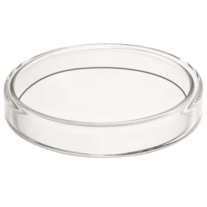 Wholesale Disposable Plastic Petri Dish