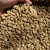 Import High-Quality Green Coffee Beans from Kenya