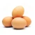 Import Fresh Chicken Table Eggs,White Chicken Eggs, Brown Chicken Eggs!! from South Africa