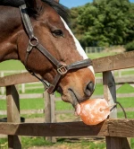 Himalayan Animal Lick Salt *FREE SAMPLES*
