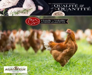 Necor Poultry