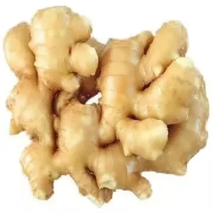 Ginger Fresh Vegetable Crops Exporter Best Quality