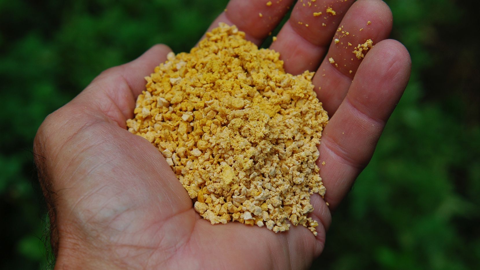 buy-bulk-corn-gluten-meal-with-specification-from-master-foods-sa
