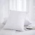 Import Hotel Pillow Wholesale from China