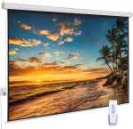 100-Inch Auto Motorized 16:9 HD Projector Screen Wrinkle-Free Electric Movie Screen Wall/Ceiling Mounted Remote Control