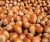 Import Hazelnut kernels/Hazelnut in shell/ Organic hazelnut from South Africa