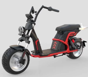 Linkseride Luxury Citycoco Scooter Fat Scooter 4000w 80kmph