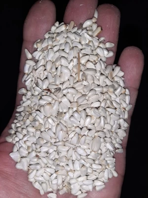 SAfflower seeds