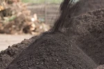 Compost