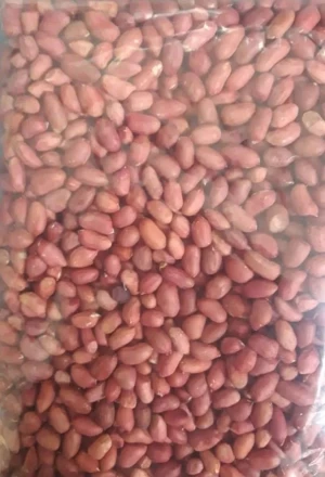 Raw Peanut Kernels,Red Groundnut peanuts