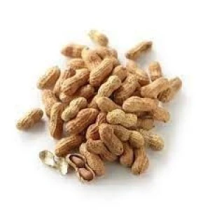 Groundnuts for Export – Wholesale Supplier of Quality Peanuts