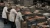 Import Brown and white eggs from Brazil to Canada,Fresh table eggs Brazil export to South A,Brazilian eggs supplier for South from Brazil