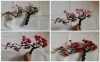 Bonsai Plum Flower