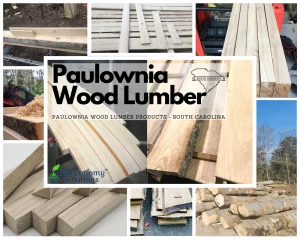 Paulownia Timber supplier