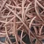 Import Factory Supplier 99.9 Pure Copper Wire High Strength 0.2mm Red Copper Wire in Stock from Germany