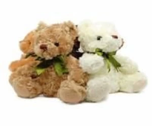 Plush Animal-Teddy Bear