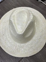 New Fashion Seagrass hat/Palm Leaf Hat/Straw hat For Men And Women 2023