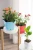 Import Garden pots&planters,flower pots&planters from China