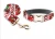 Import Christmas Patterns Dog Collar and Leash Set,2021 new design product from China
