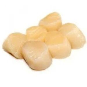 Quality Frozen Sea Scallop Cheap Rates Best Quality
