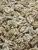 Import Walnuts for Sale Walnut Pieces Wholesale Export Supplier from South Africa