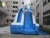 Import Hight Quality Huge Inflatable Water Slide Park With Dolphins For Outdoor Fun from China