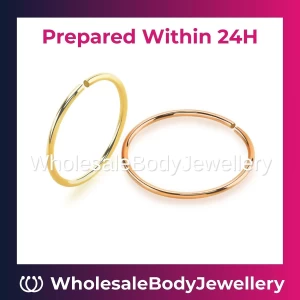 Wholesale Premium PVD Plated Seamless Nose Rings