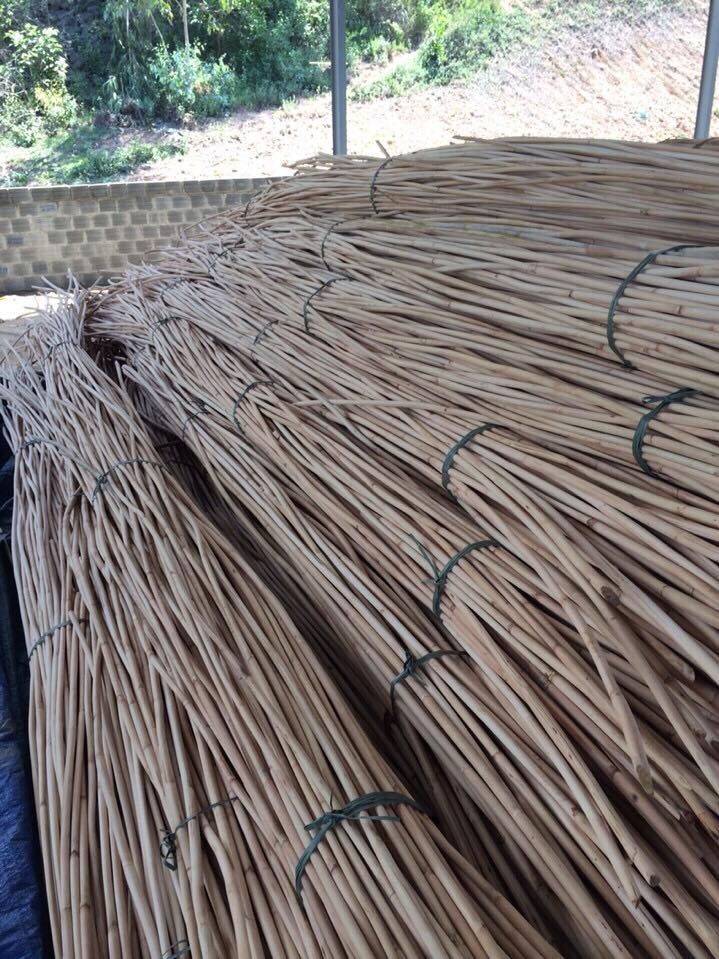 Buy Rattan Cane from 99 Gold Data, Vietnam | Tradewheel.com